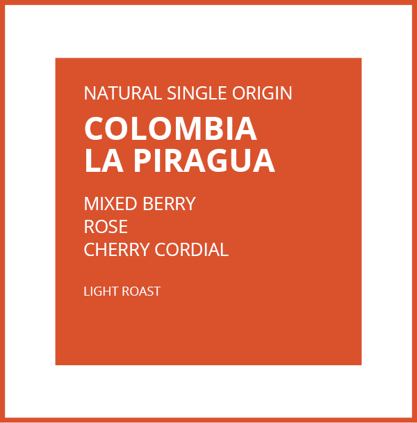 COLOMBIA LA PIRAGUA - WHOLESALE