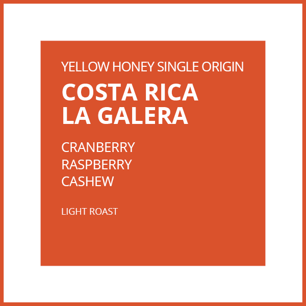 COSTA RICA LA GALERA MICROLOT