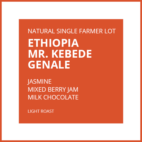 ETHIOPIA MR. KEBEDE GENALE