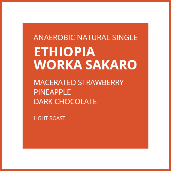 ETHIOPIA WORKA SAKARO