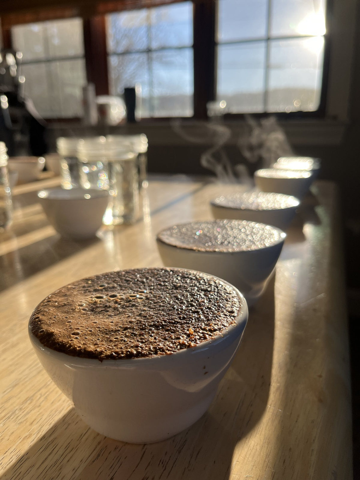 A row of cupping bowls in morning sun at the Roadmap roastery